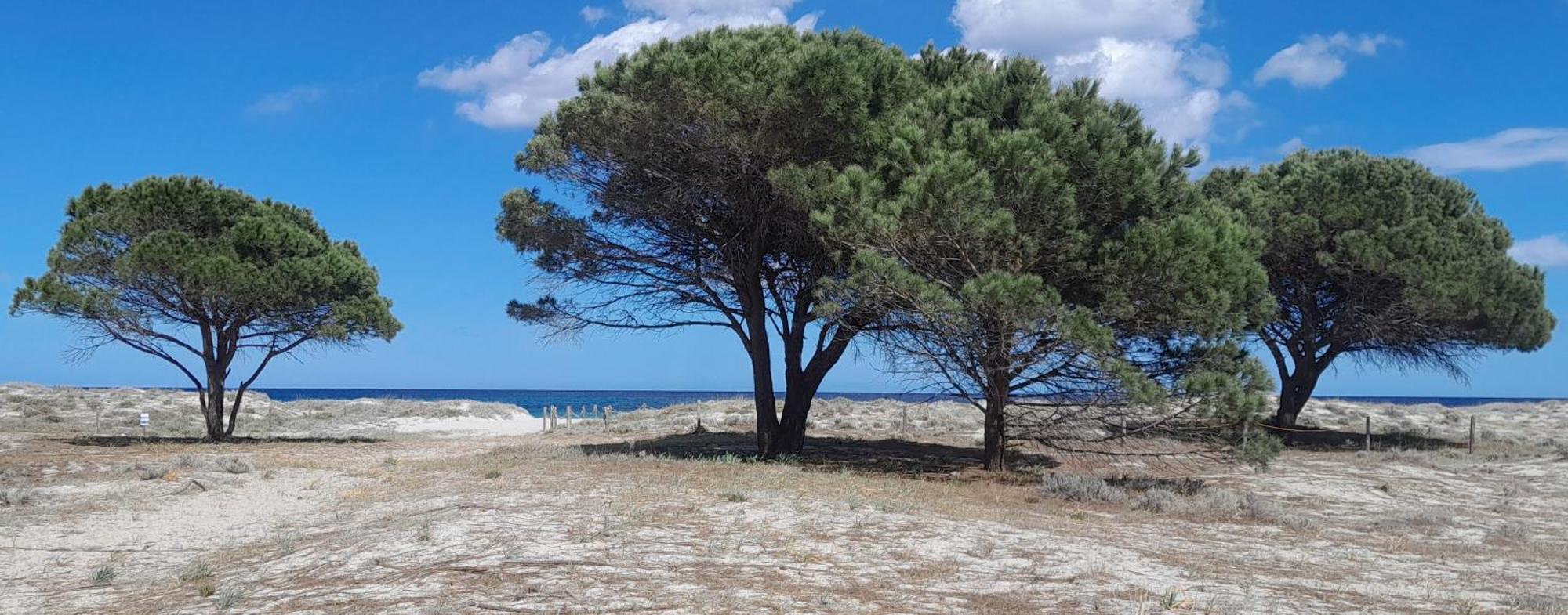 Resort Abbaia Ba Budoni Exterior foto