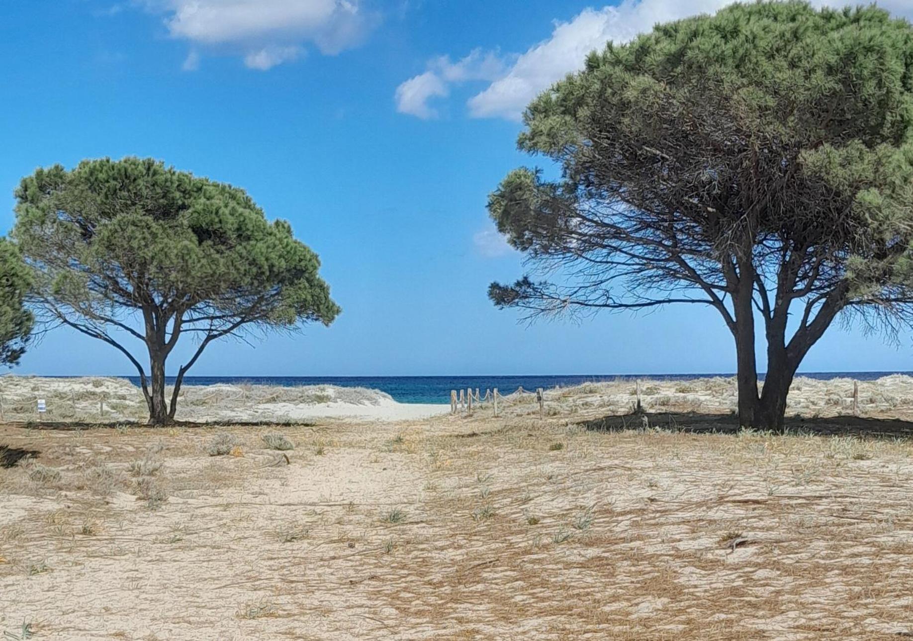 Resort Abbaia Ba Budoni Exterior foto